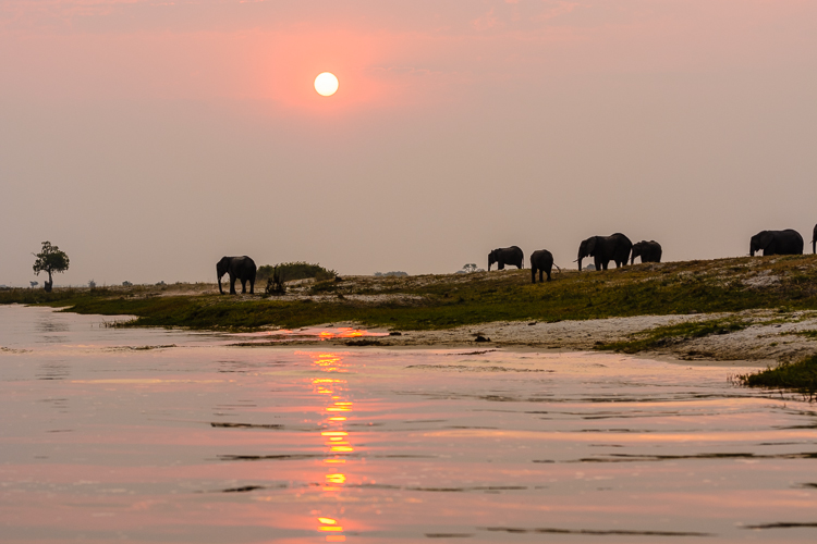 Sundown on the Chobe River